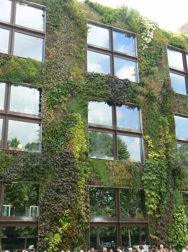 le mur vegetal quai branly: exterieur musee quai branly 075